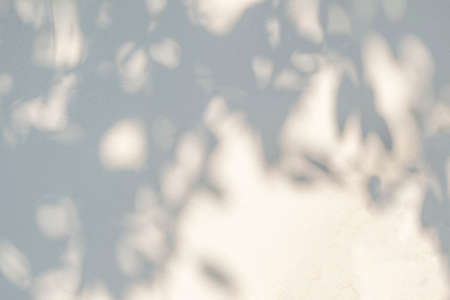 Leaves shadow and tree branch background.  Natural leaves tree branch shadows and sunlight dappled...