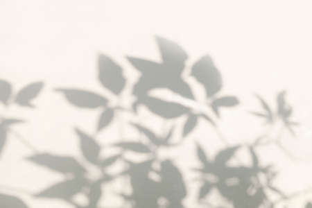 Abstract leaves shadow blurred background. Natural leaves tree branch shadows and sunlight dappled...