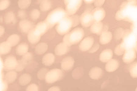 Abstract rose gold light bokeh of natural leaves shadow background of tree branch falling on white...