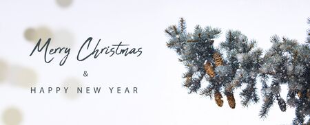 Merry Christmas background, happy new year. Isolated background.の写真素材
