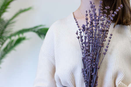 woman holding lavender, isolated backgroundの写真素材