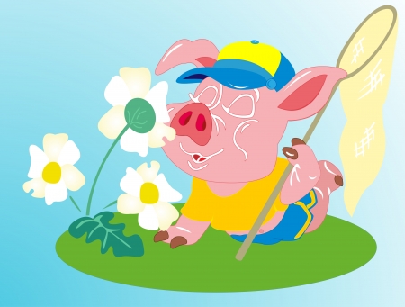 swineのイラスト素材