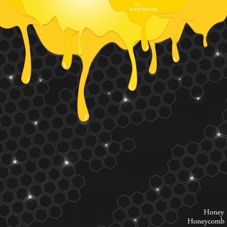honey, honeycombのイラスト素材