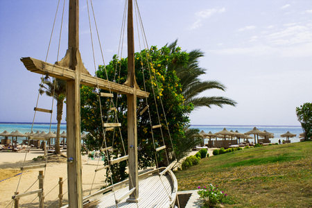 Africa. Alley from palm trees to hotels in egyptの写真素材