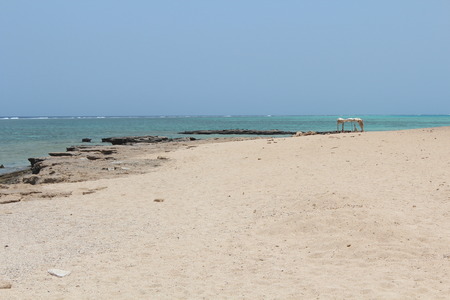 Red sea Egypt Red Sea beachの写真素材