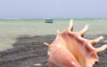 Egyptian beach with mountains and boat at Red sea Egyptの写真素材