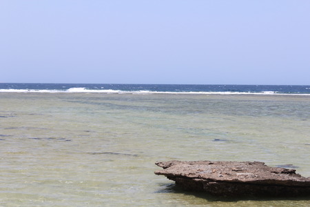 Red sea Egypt Red Sea beachの写真素材