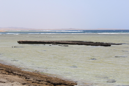 Red sea Egypt Red Sea beachの写真素材