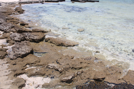 Red sea Egypt Red Sea beachの写真素材