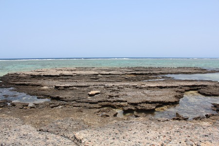 Red sea Egypt Red Sea beachの写真素材