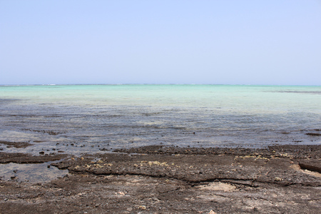 Red sea Egypt Red Sea beachの写真素材