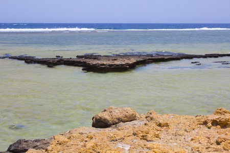Red sea Egypt Red Sea beachの写真素材