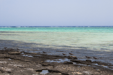 Red sea Egypt Red Sea beachの写真素材