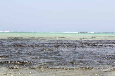 Red sea Egypt Red Sea beachの写真素材