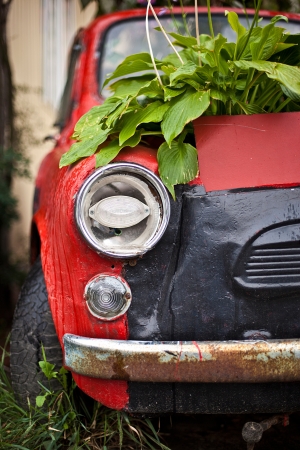 Old red car with flowers on capoteの写真素材