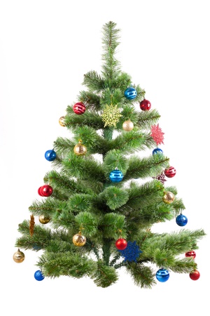  Christmas treeの写真素材