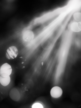 spotlight back and white lightingの写真素材