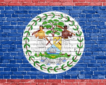 Grunge Belize flag on brick wallの写真素材