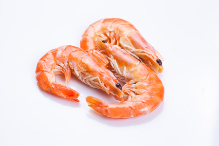 tiger shrimps on white backgroundの写真素材