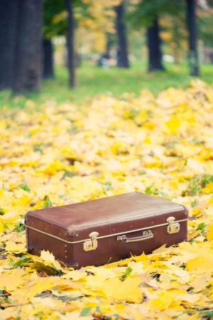 vintage suitcase in autumn park の写真素材