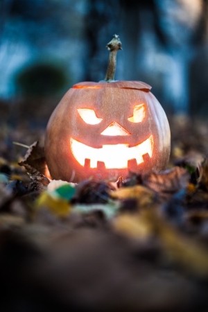 halloween jack-o-lantern on autumn leavesの写真素材