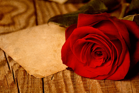 red rose on wooden table with old paperの写真素材