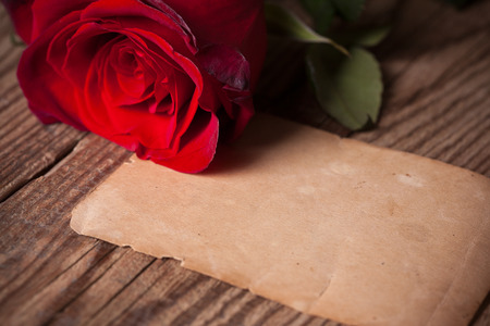 red rose on wooden table with old paperの写真素材