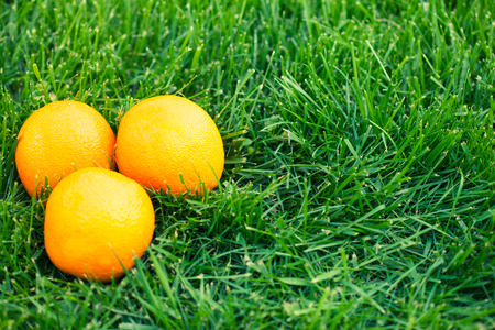 fresh oranges laying on green grassの写真素材