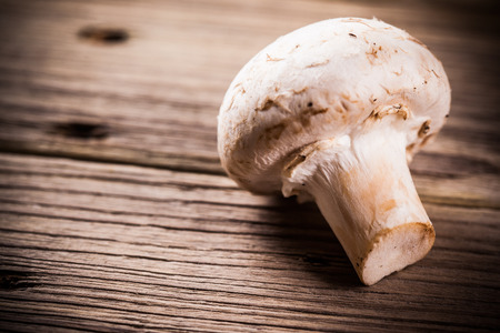 Mushrooms on wooden backgroundの写真素材