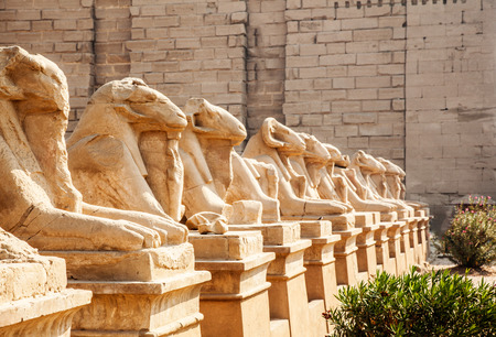 Avenue of the ram-headed Sphinxes. Karnak Temple. Luxor, Egyptの写真素材