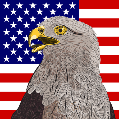 bald eagle against the United States of Americas flagのイラスト素材