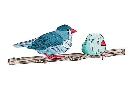 vector illustration of cute birds sitting on tree branches. EPSのイラスト素材