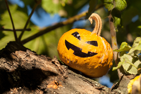 halloween jack-o-lantern on a old brown backgroundの写真素材