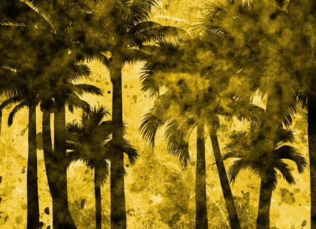 tropical palm grunge background with scratches and stainsの写真素材