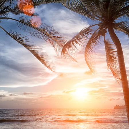 sunset on the beach in Thailand adamand seaの写真素材