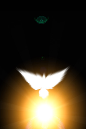 Holy sign of a white dove on a glow backgroundの写真素材