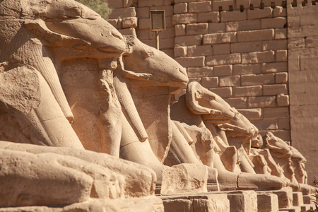 Karnak temple in Luxor, Egyptの写真素材