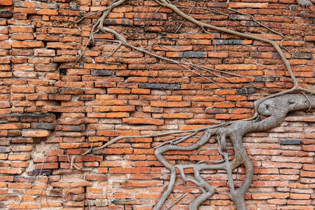 Detailed red brick wall backgroundの写真素材