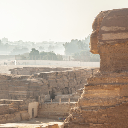 The Great Sphinx in Giza, Egyptの写真素材