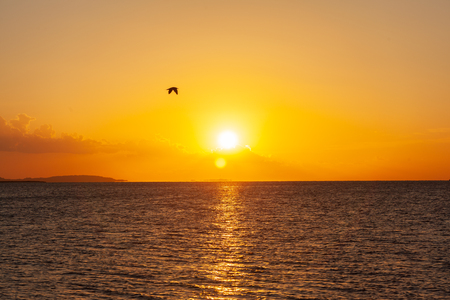Beautiful sunrise over the red seaの写真素材