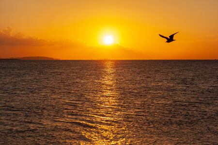 Beautiful sunrise over the red seaの写真素材