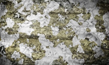 abstract grunge military background in the dark colorsの写真素材