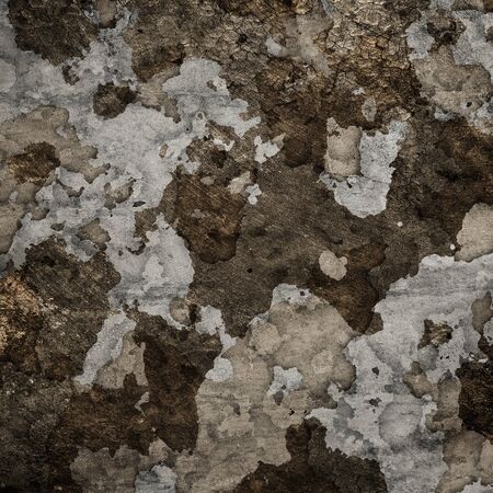 abstract grunge military background in the dark colorsの写真素材