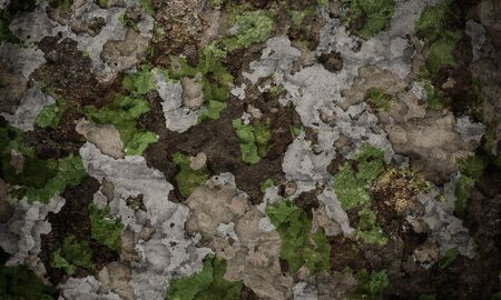abstract grunge military background in the dark colorsの写真素材