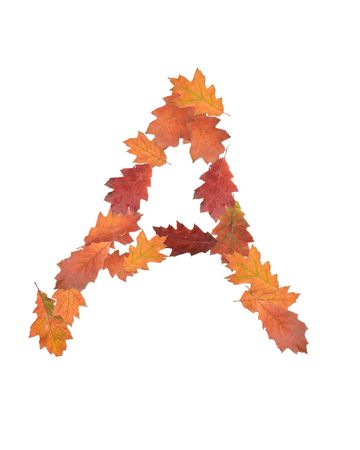 letter a made of oak autumn leavesの写真素材