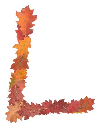 letter  l made of oak autumn leaves の写真素材