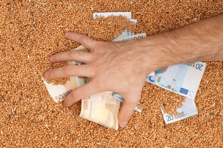 Monetary crop as a symbol of success of sale of a new crop of wheatの写真素材