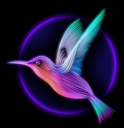 3d render of colibri bird - hummingbird striped silhouetteの写真素材