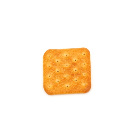 one salty cracker flat on white background