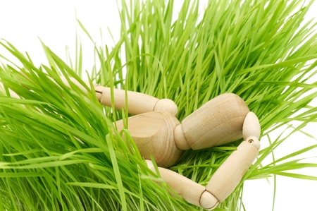 A wooden mannequin on green grassの写真素材